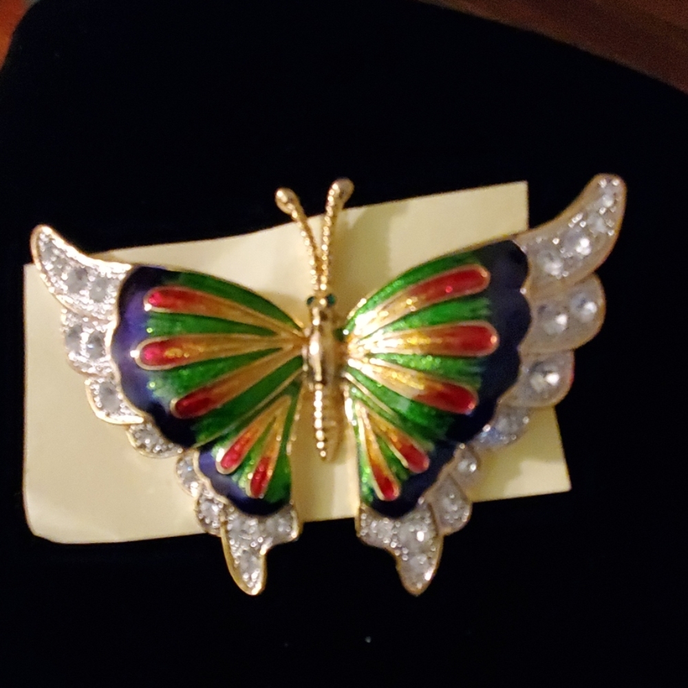 Butterfly with angel wings